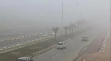 الأرصاد تحذر من ضباب كثيف وانعدام الرؤية يهدد حركة التنقل في الساعات القادمة